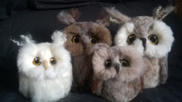 Owls from £25.00