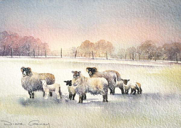 Spring Fost - Sheep - Viridian - Diane Gainey