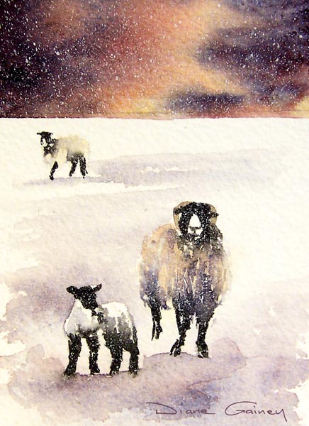 Swaledale in snow - Sheep - Viridian - Diane Gainey